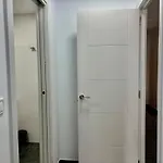شقة Luli